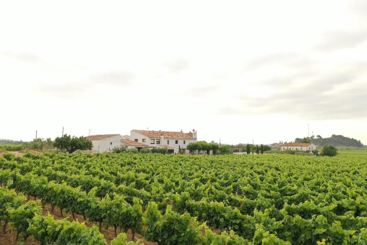 Вілла Soul Farm Mas Els Igols Torrellas de Foix Екстер'єр фото